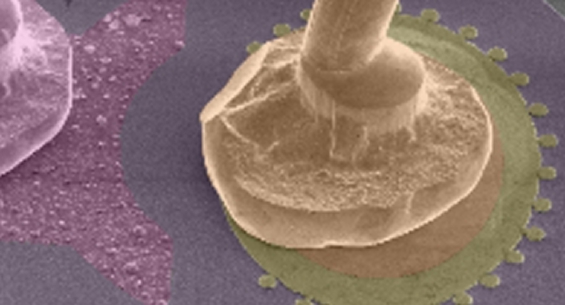 Quantum Devices Research