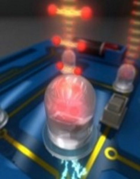 Quantum Teleportation